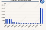 投资规模(海外投资规模)
