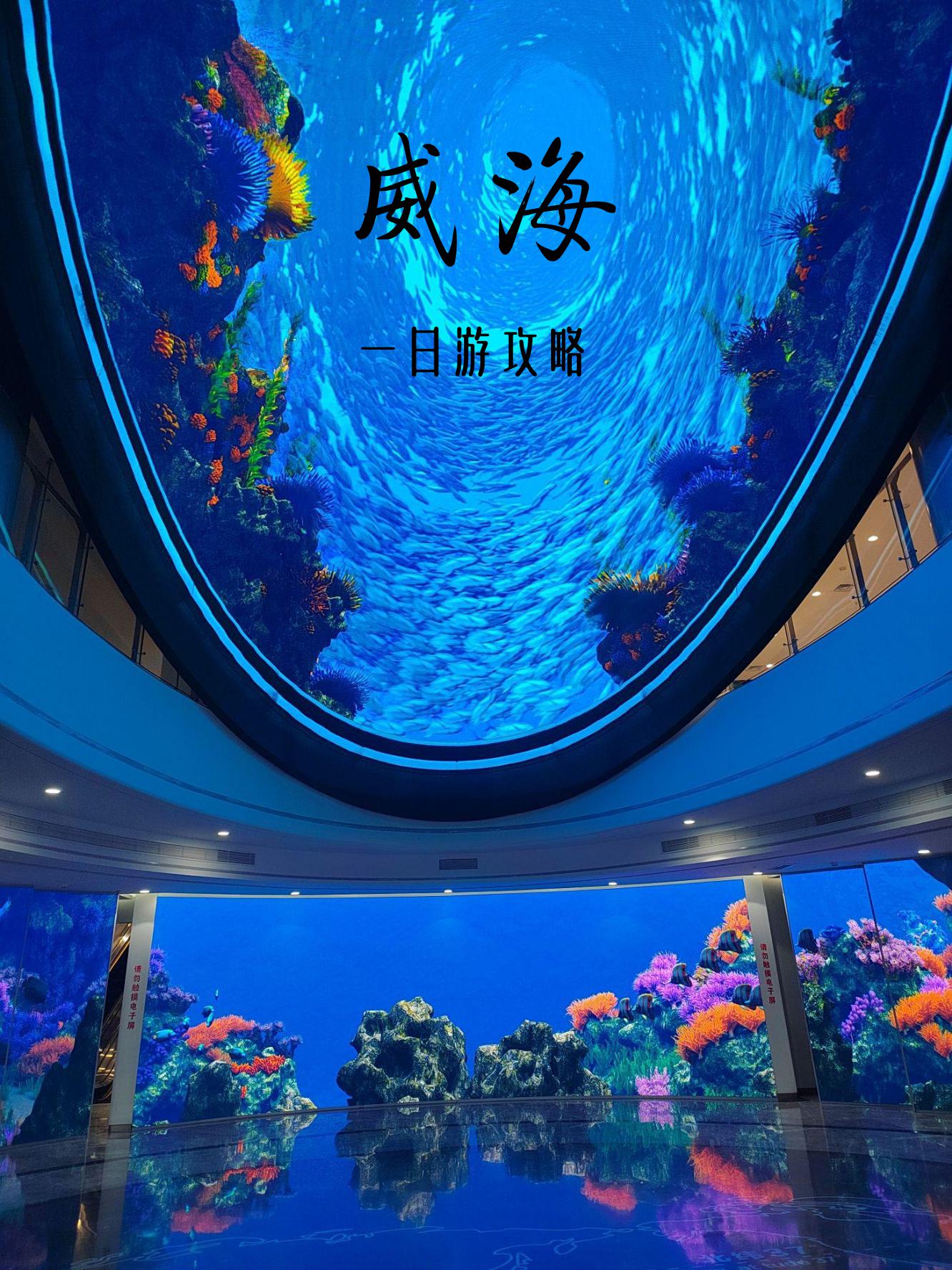 威高国际(威高国际研究院)